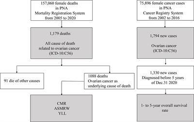 Longitudinal analysis of ovarian cancer death patterns during a rapid transition period (2005-2020) in Shanghai, China: A population-based study